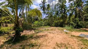 යක්කල නෙල්ලිගහමුල පර්චස් 24 ඉඩම විකිණීමට