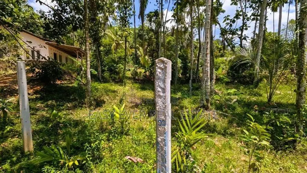 යක්කල නෙල්ලිගහමුල පර්චස් 24 ඉඩම විකිණීමට