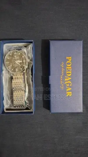 Poedagar Luxury Men's Watch