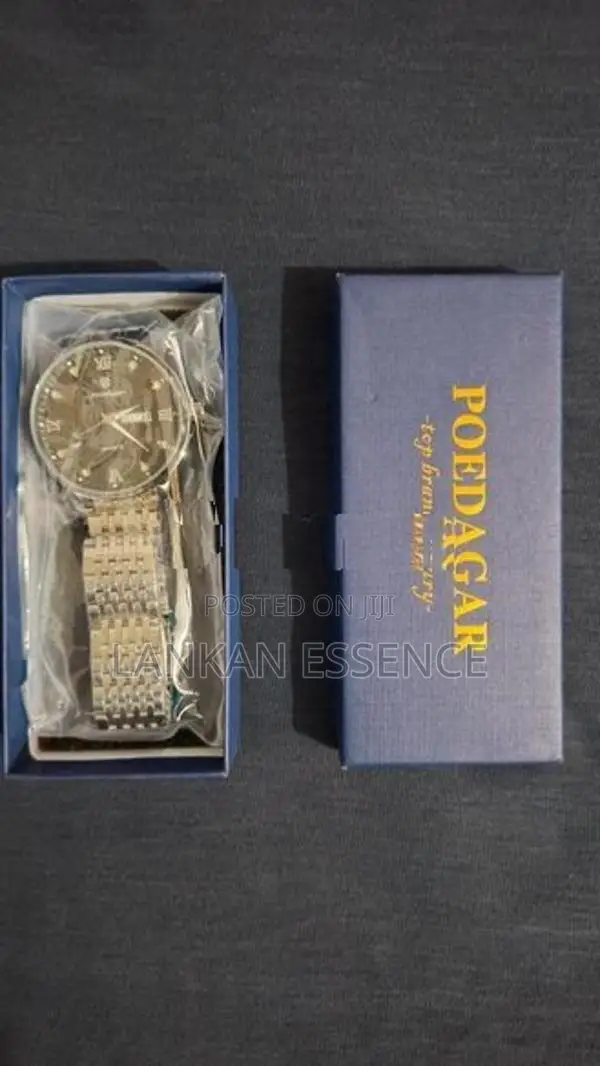 Poedagar Luxury Men's Watch