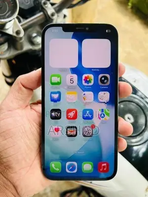 Apple iPhone 12 Pro Max (Used)