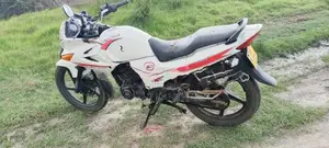 Hero Karizma 2007