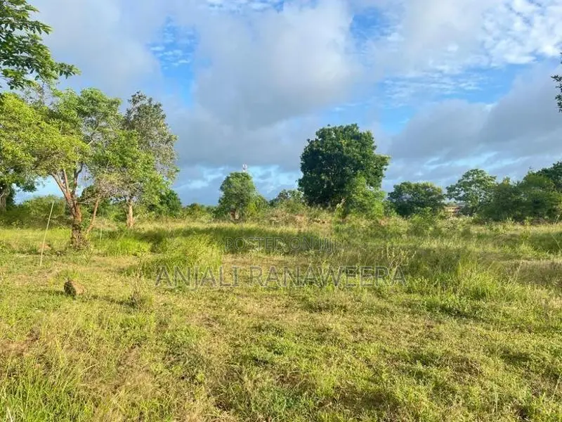 ඉඩම විකිණීම - කැකිරාව