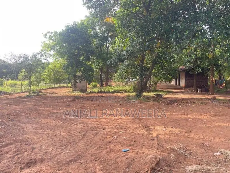 ඉඩම විකිණීම - කැකිරාව