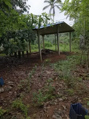 Land for Rent in Dompe