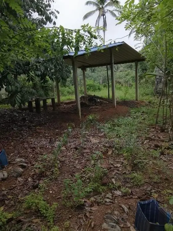 Land for Rent in Dompe