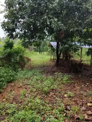 Land for Rent in Dompe