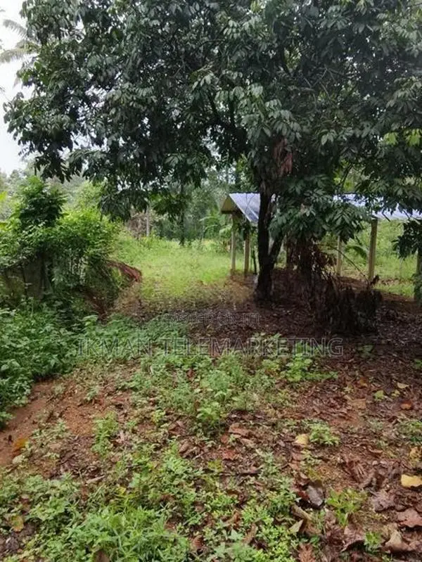 Land for Rent in Dompe