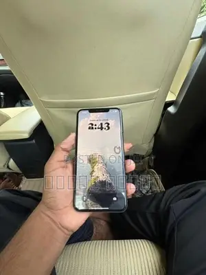 Apple iPhone XS Max (Used)