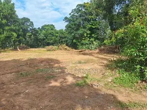 182 Perch Prime Residential Land for Sale in Minuwangoda