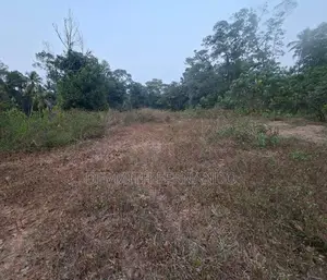 182 Perch Prime Residential Land for Sale in Minuwangoda