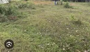 Land Sale in Kaddappirai