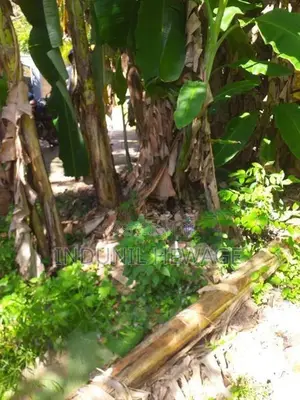 Land for Sale Galle