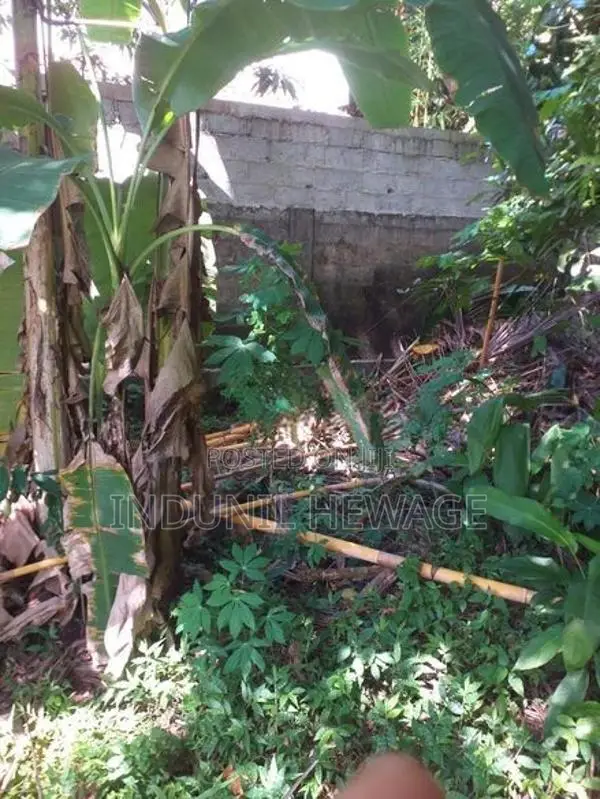 Land for Sale Galle