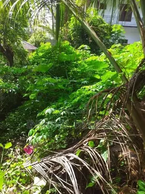 Land for Sale Galle