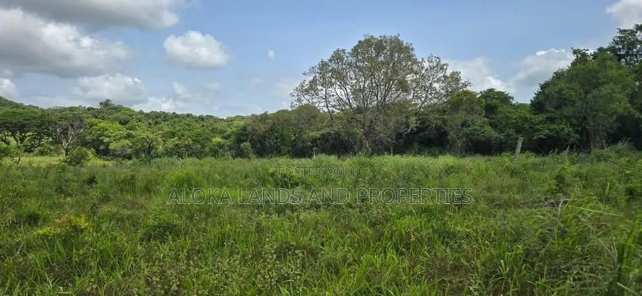 Land for Sale in Dambulla - අක්කර 4.5 ක අනර්ඝ වගා ඉඩමක් විකිණීමට!
