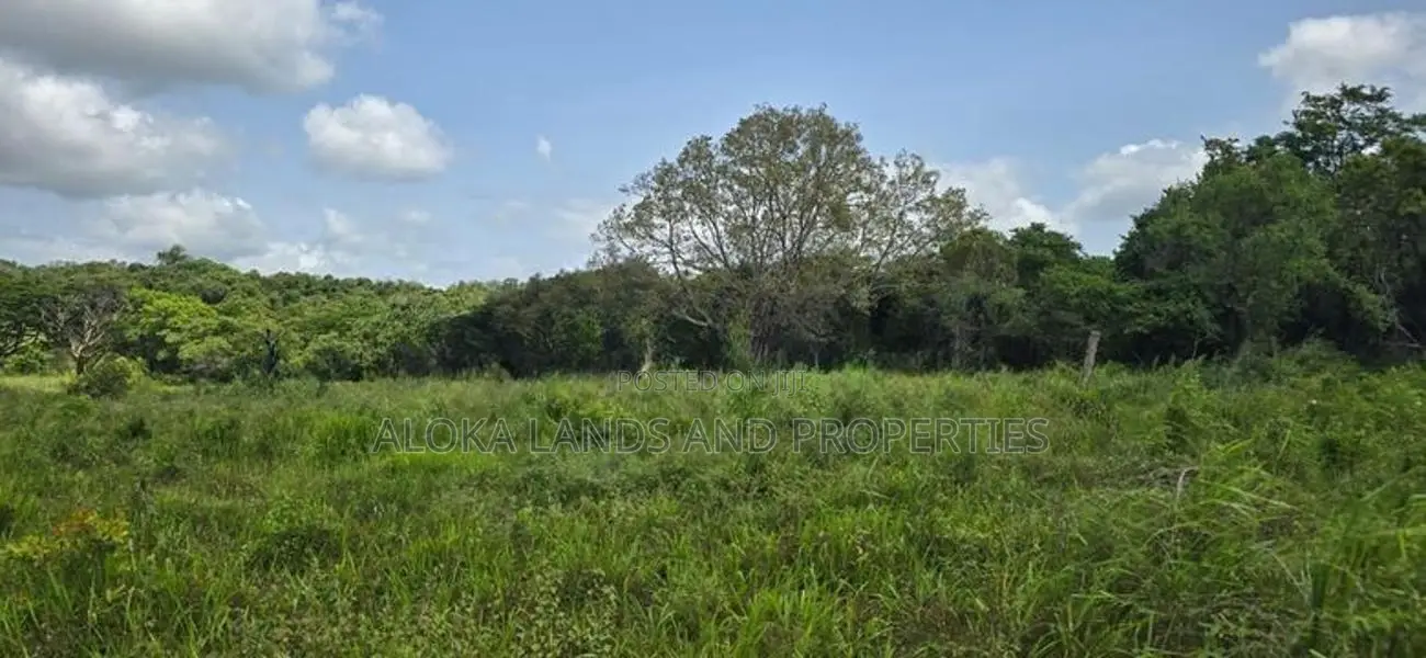 Land for Sale in Dambulla - අක්කර 4.5 ක අනර්ඝ වගා ඉඩමක් විකිණීමට!