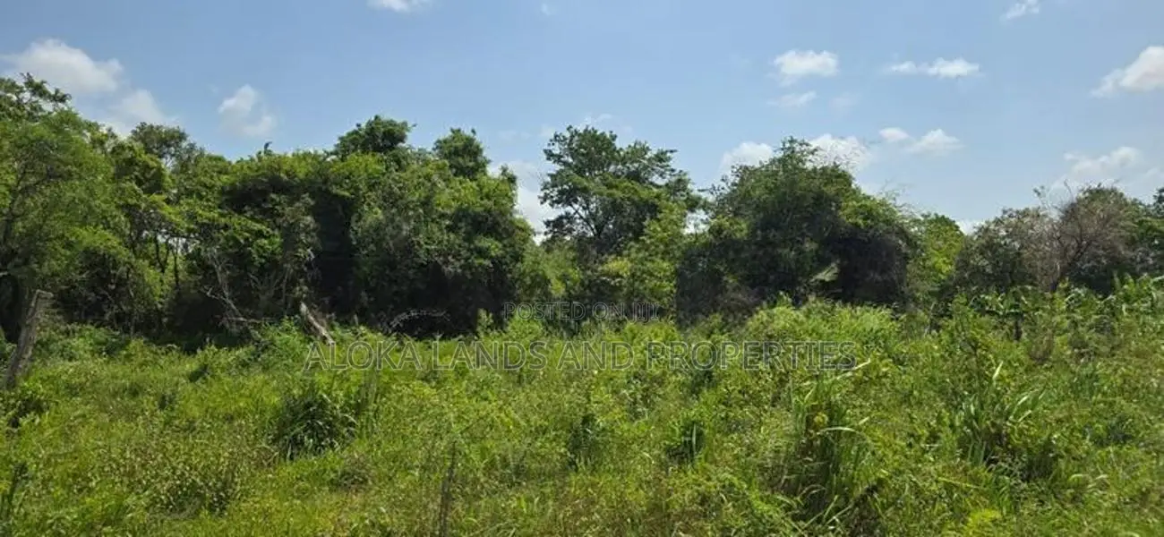 Land for Sale in Dambulla - අක්කර 4.5 ක අනර්ඝ වගා ඉඩමක් විකිණීමට!