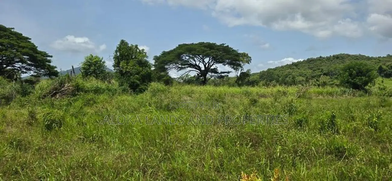 Land for Sale in Dambulla - අක්කර 4.5 ක අනර්ඝ වගා ඉඩමක් විකිණීමට!