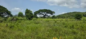 Land for Sale in Dambulla - අක්කර 4.5 ක අනර්ඝ වගා ඉඩමක් විකිණීමට!
