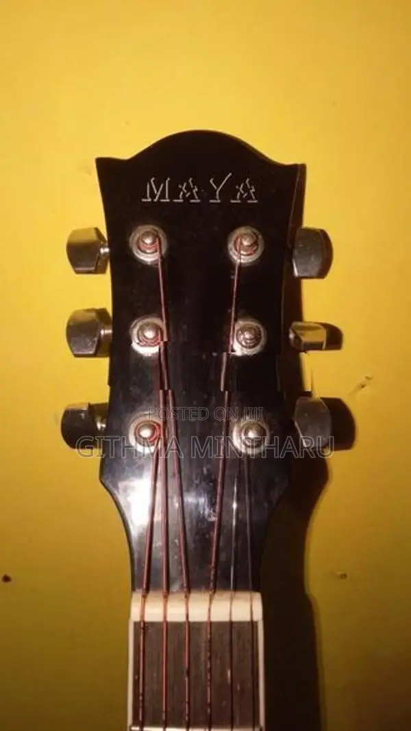 Acoustic Guitar