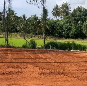 වේයන්ගොඩ සුන්දර වෙල් යායකට මුහුණලා