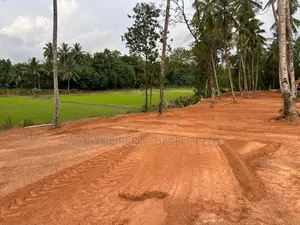 වේයන්ගොඩ සුන්දර වෙල් යායකට මුහුණලා
