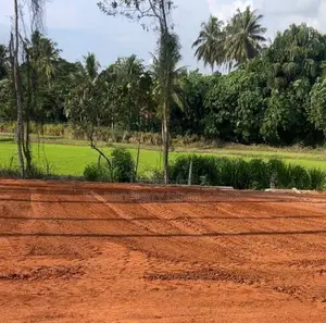 වේයන්ගොඩ සුන්දර වෙල් යායකට මුහුණලා