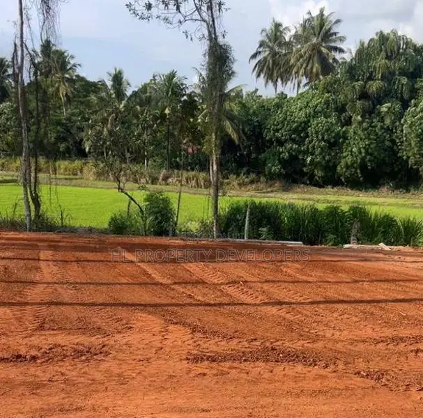 වේයන්ගොඩ සුන්දර වෙල් යායකට මුහුණලා