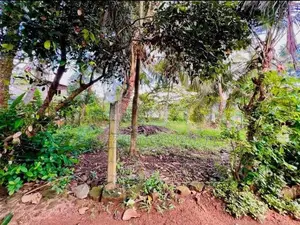 15 Perch Land for Sale in Waskaduwa – 50m to Galle Road