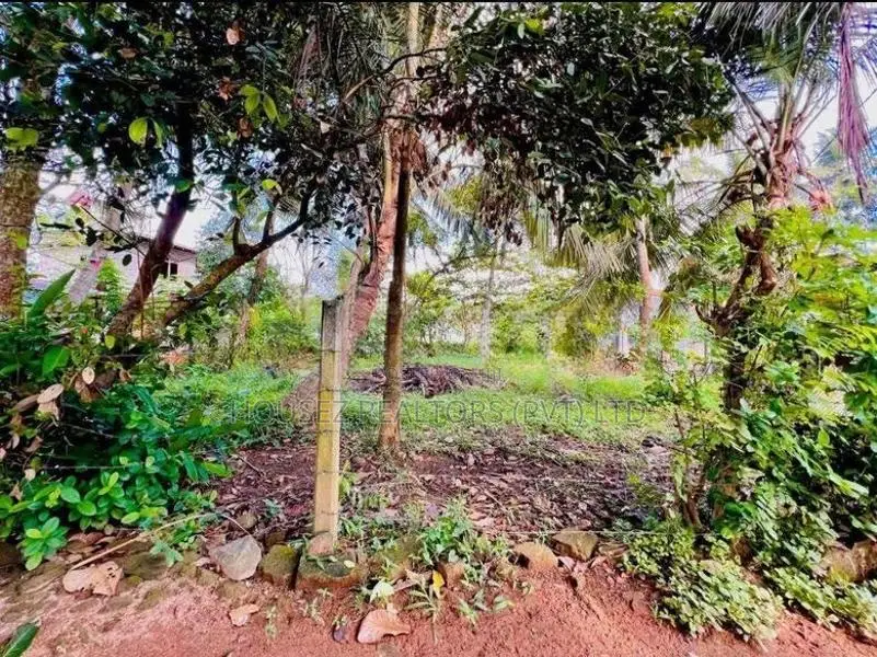 15 Perch Land for Sale in Waskaduwa – 50m to Galle Road