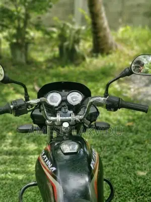 Bajaj Platina 110 2016