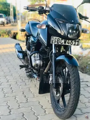 Bajaj Pulsar 150 2015