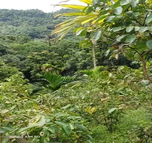 Prime Agricultural Land for Sale – Deraniyagala