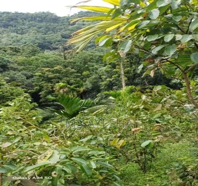 Prime Agricultural Land for Sale – Deraniyagala