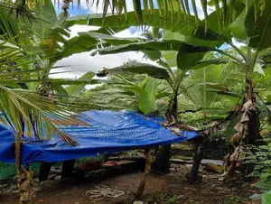 Prime Agricultural Land for Sale – Deraniyagala