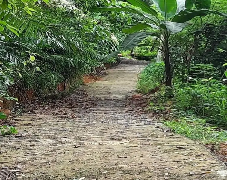 Prime Agricultural Land for Sale – Deraniyagala