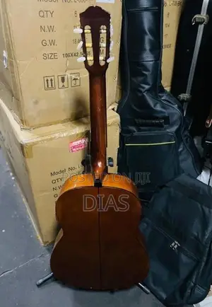 Japan Used Guitar