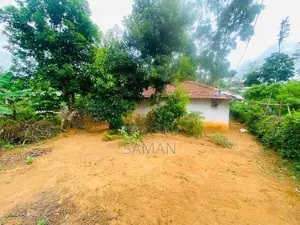 Land for Sale Bandarawela