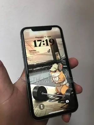 Apple iPhone 11 (Used)