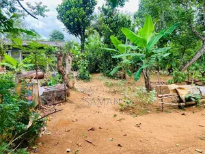 Land for Sale Bandarawela