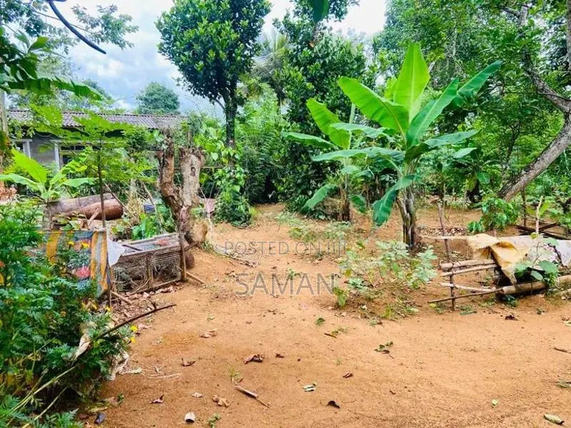 Land for Sale Bandarawela