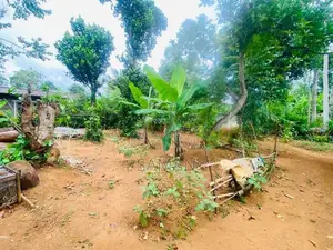 Land for Sale Bandarawela