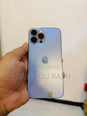 Apple iPhone 13 Pro Max 256GB (Used)