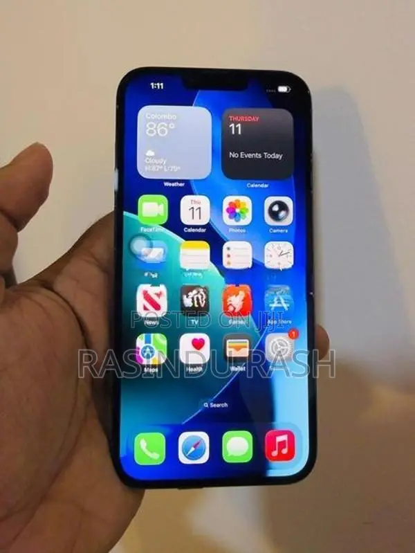 Apple iPhone 13 Pro Max 256GB (Used)