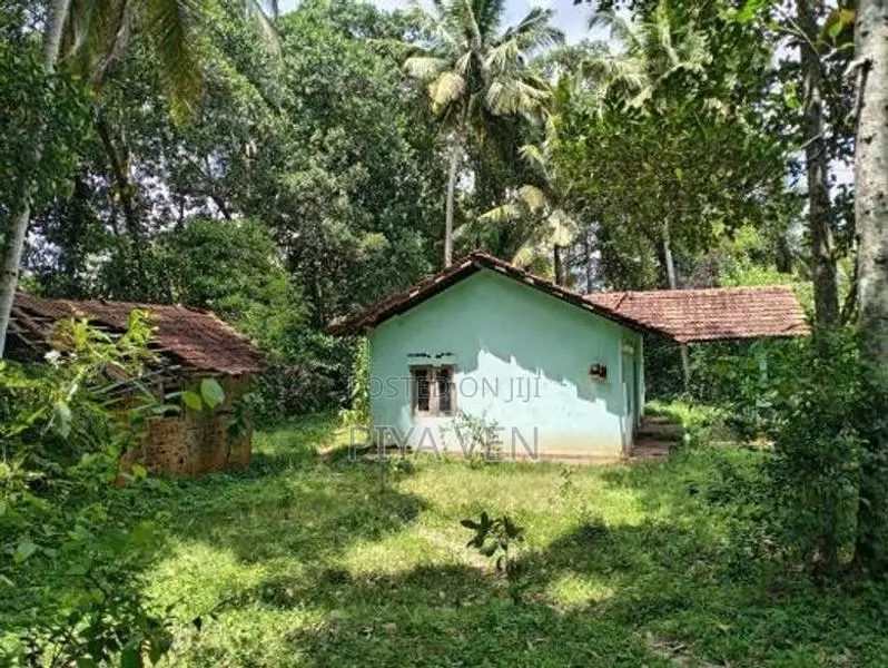 ඉක්මනින් විකිණීමට
