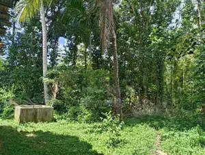 ඉක්මනින් විකිණීමට