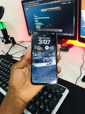 Apple iPhone X 256GB (Used)