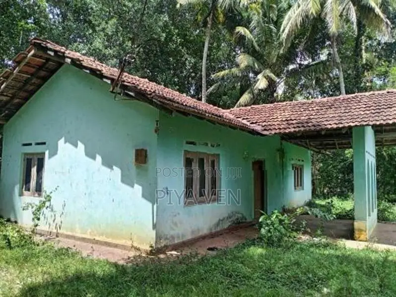 ඉක්මනින් විකිණීමට