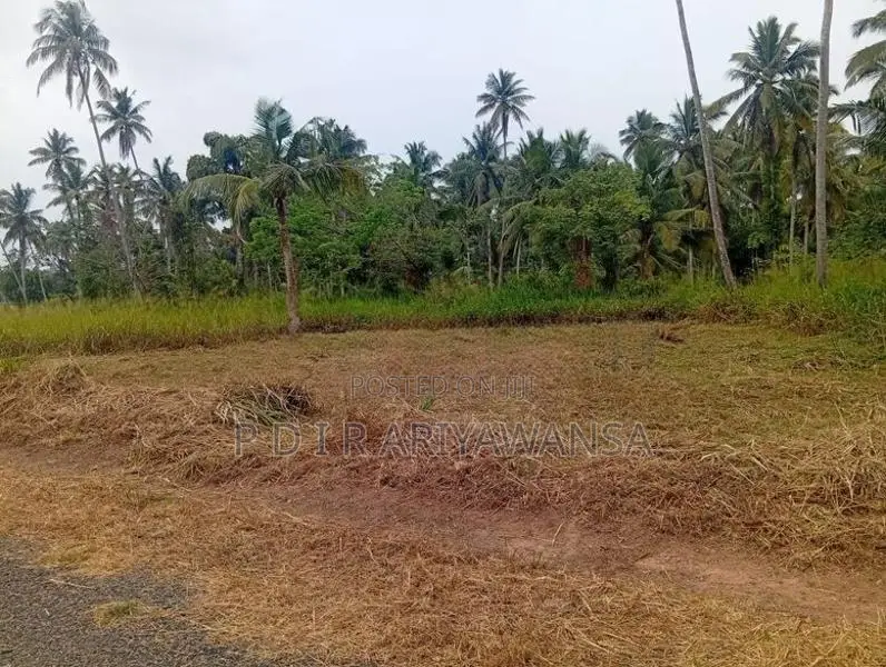 පන්නල පාරෙන් බිම් කොටස්